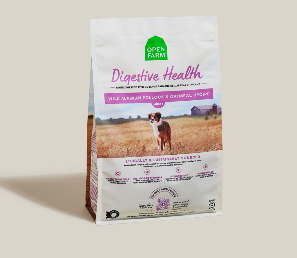 Dry Dog Food product image 2