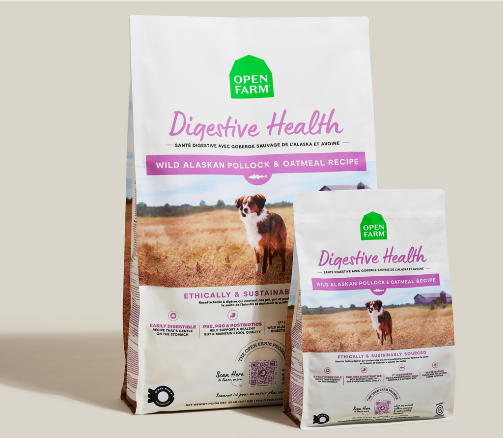 Dry Dog Food product image 8