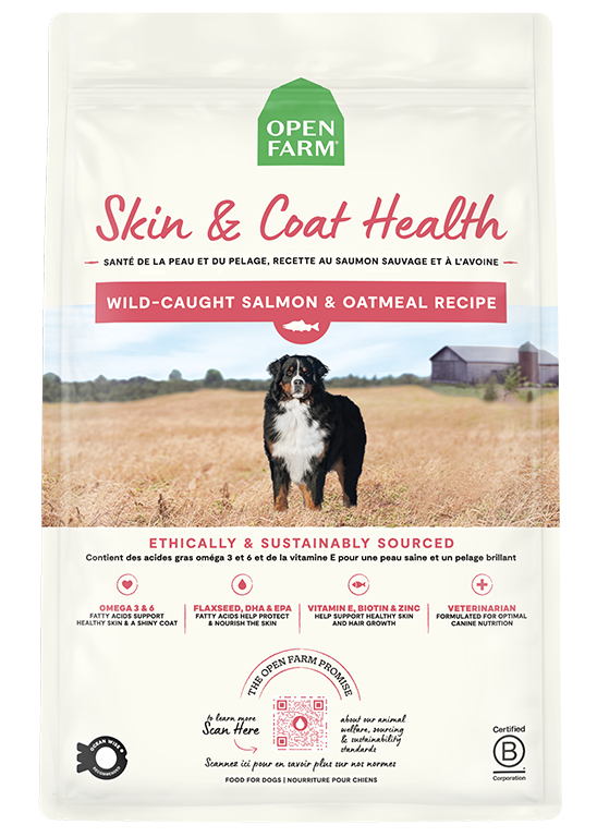 Salmon and Oatmeal Dry Dog Food product image 1