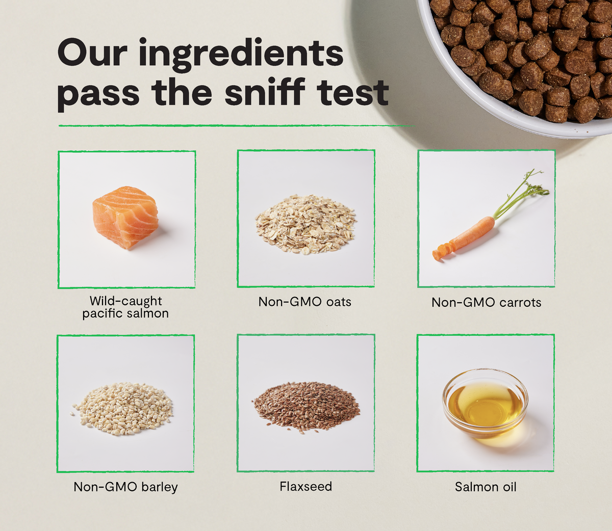 Salmon and Oatmeal Dry Dog Food product image 3