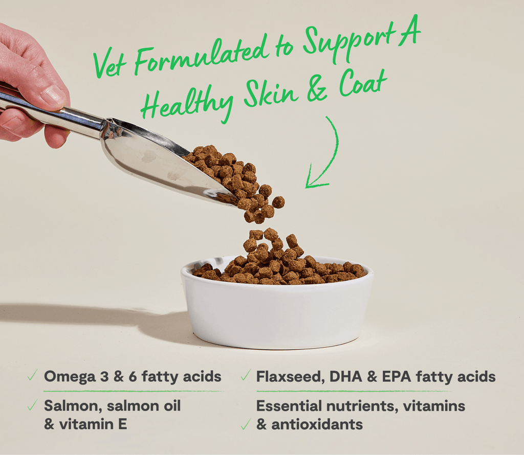 Salmon and Oatmeal Dry Dog Food product image 5