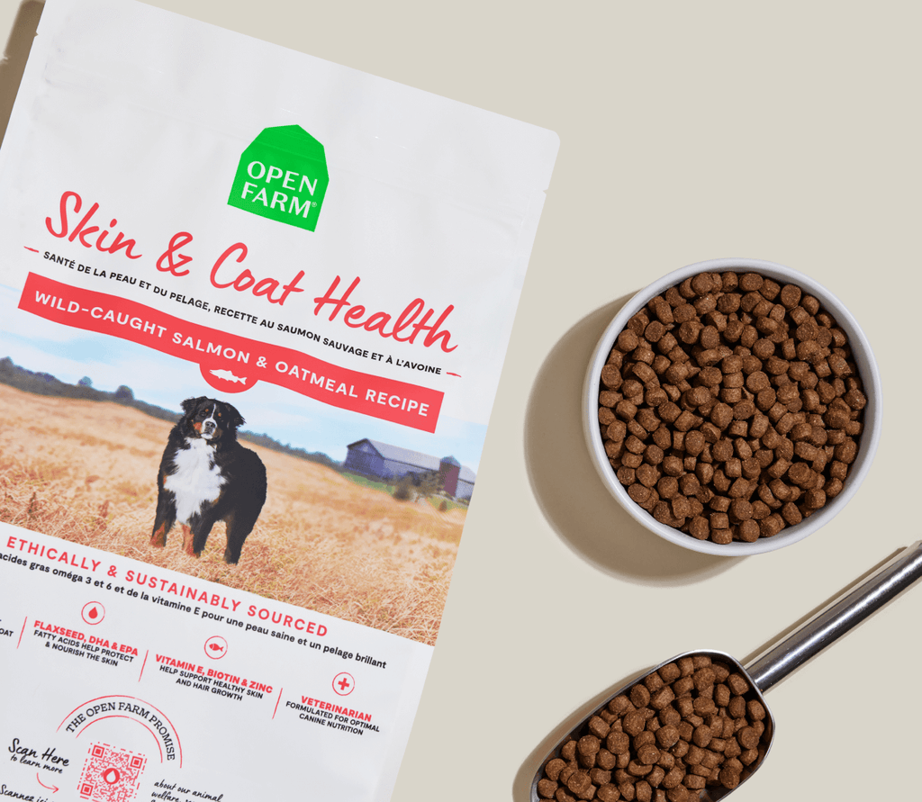 Salmon and Oatmeal Dry Dog Food product image 6
