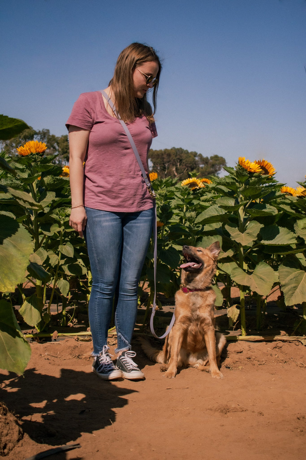 Hands-Free Dog Leash product image 6