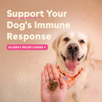 Dog Allergy Relief Supplement product image 5