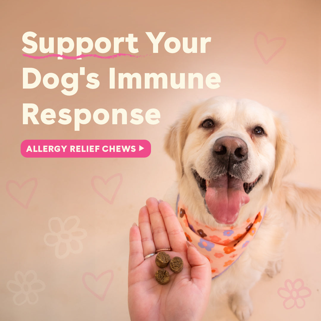 Dog Allergy Relief Supplement product image 5