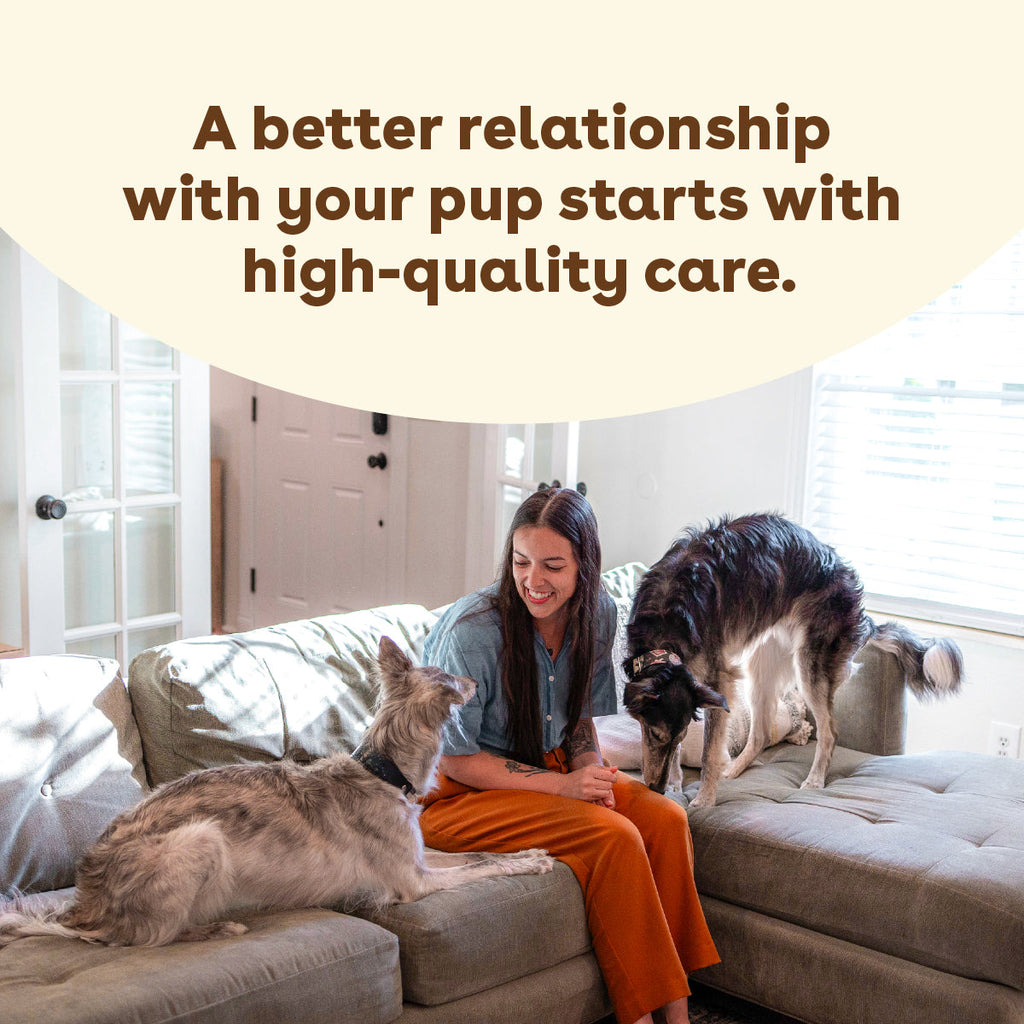 Dog Allergy Relief Supplement product image 9