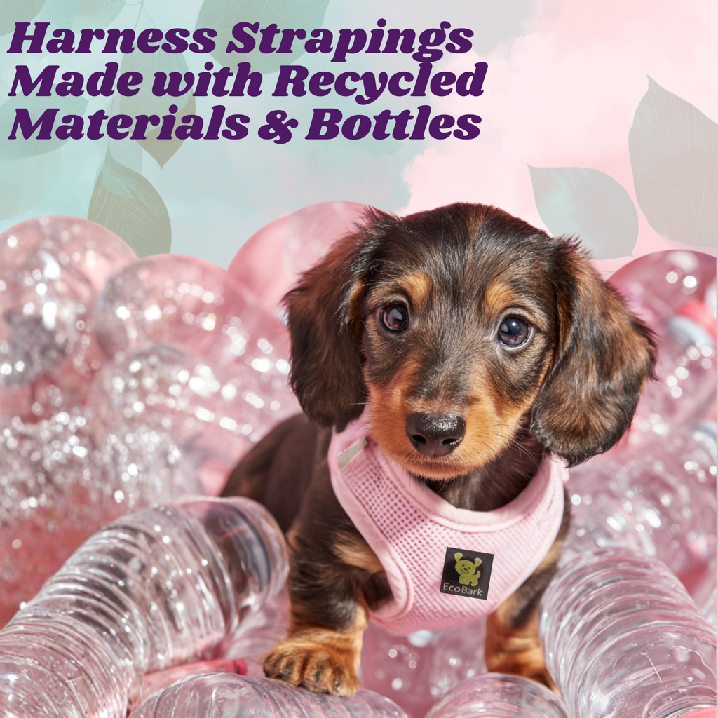 Dog Harness product image 10