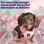 Dog Harness product image 10