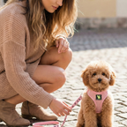 Dog Harness product image 15