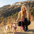 Step-In Dog Harness product image 3