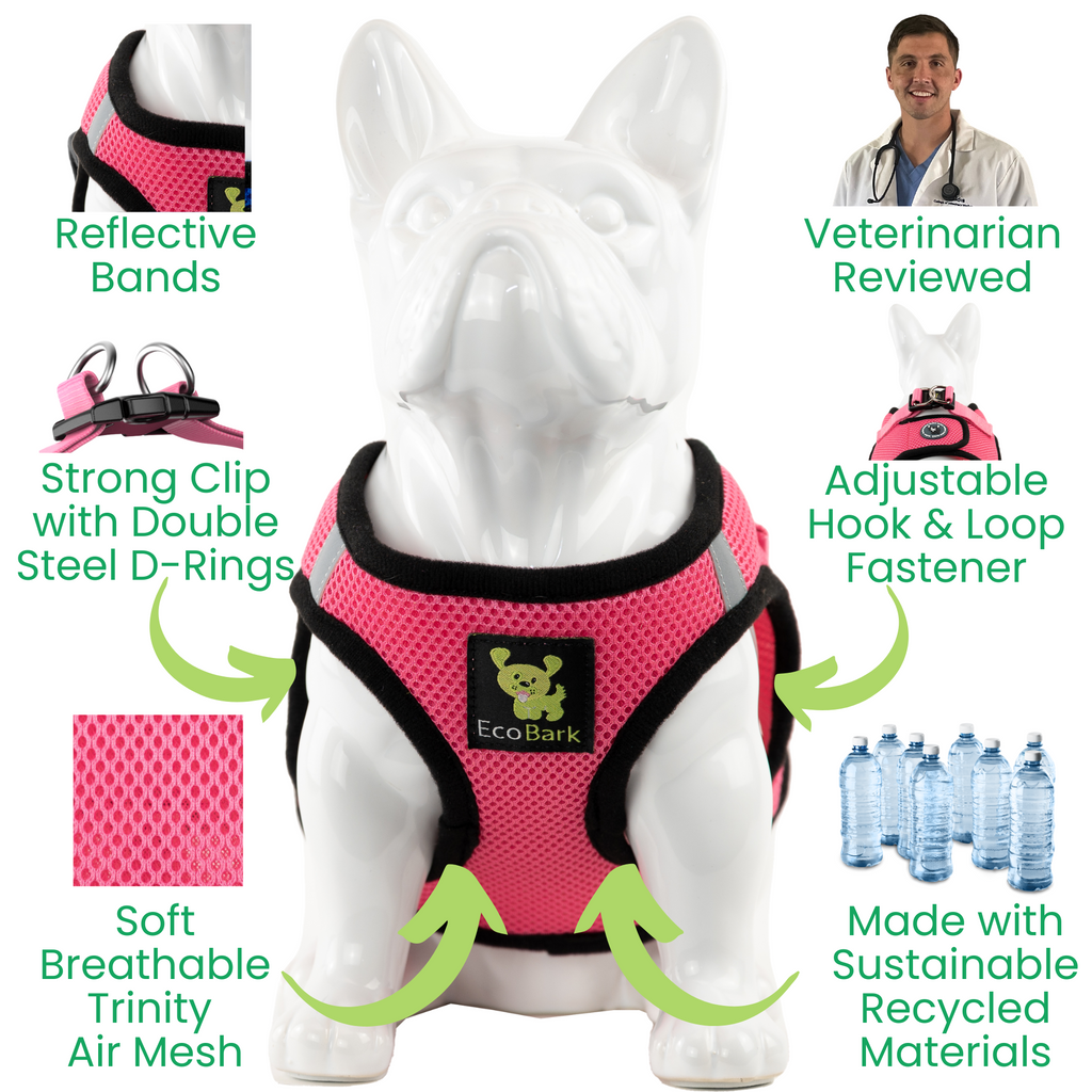 Step-In Dog Harness product image 4