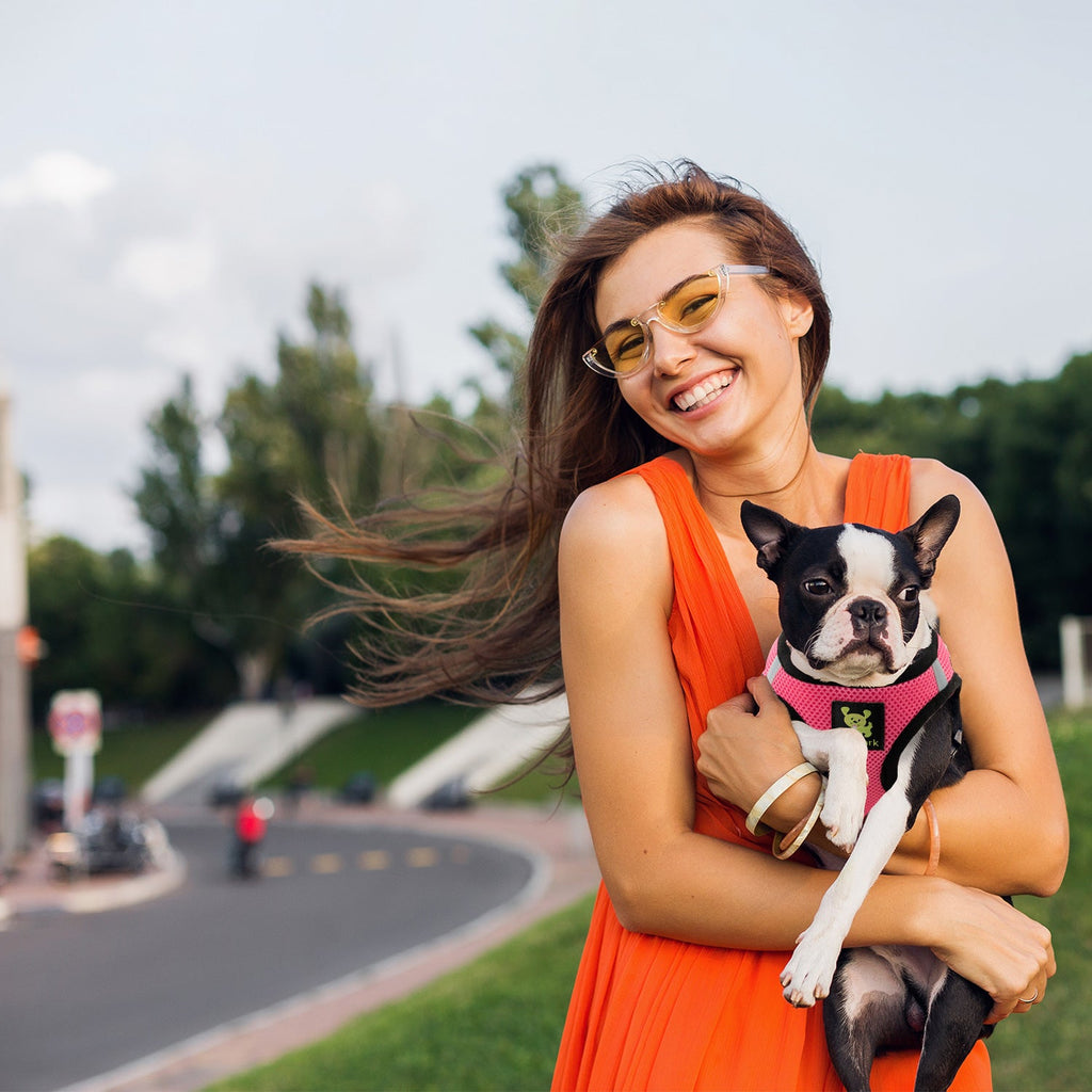 Step-In Dog Harness product image 10