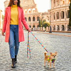 Tie-Dye Reflective Step-In Dog Harness product image 12