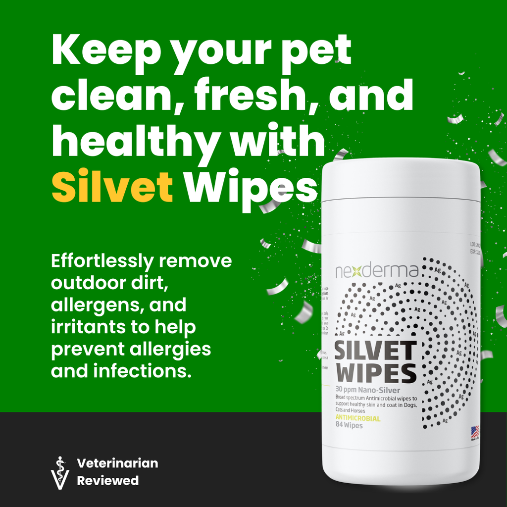 Pet Cleaning Wipe product image 3