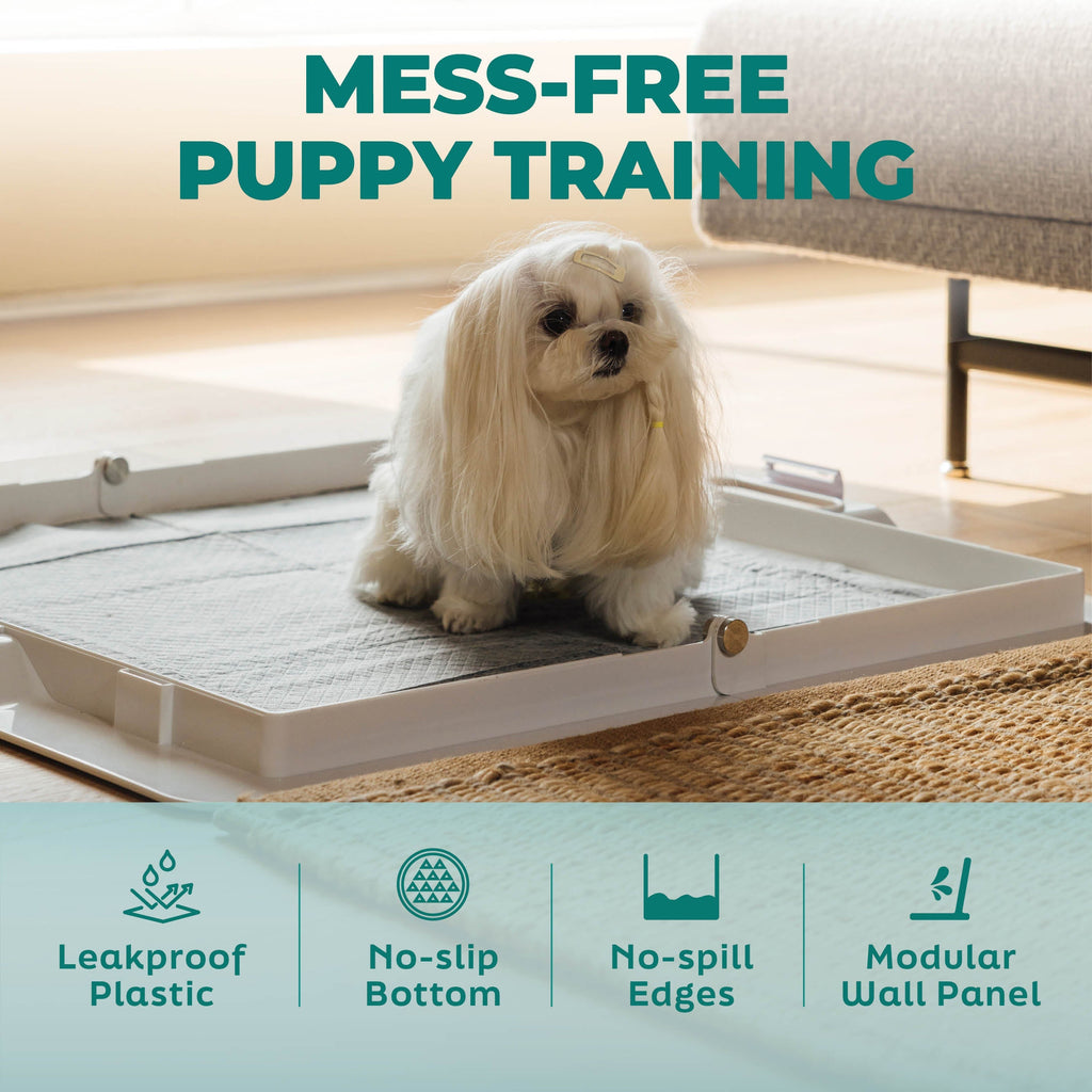 KindTail Pee PAWD® dog pee pad holder for potty training, with durable plastic frame and easy-to-use design.