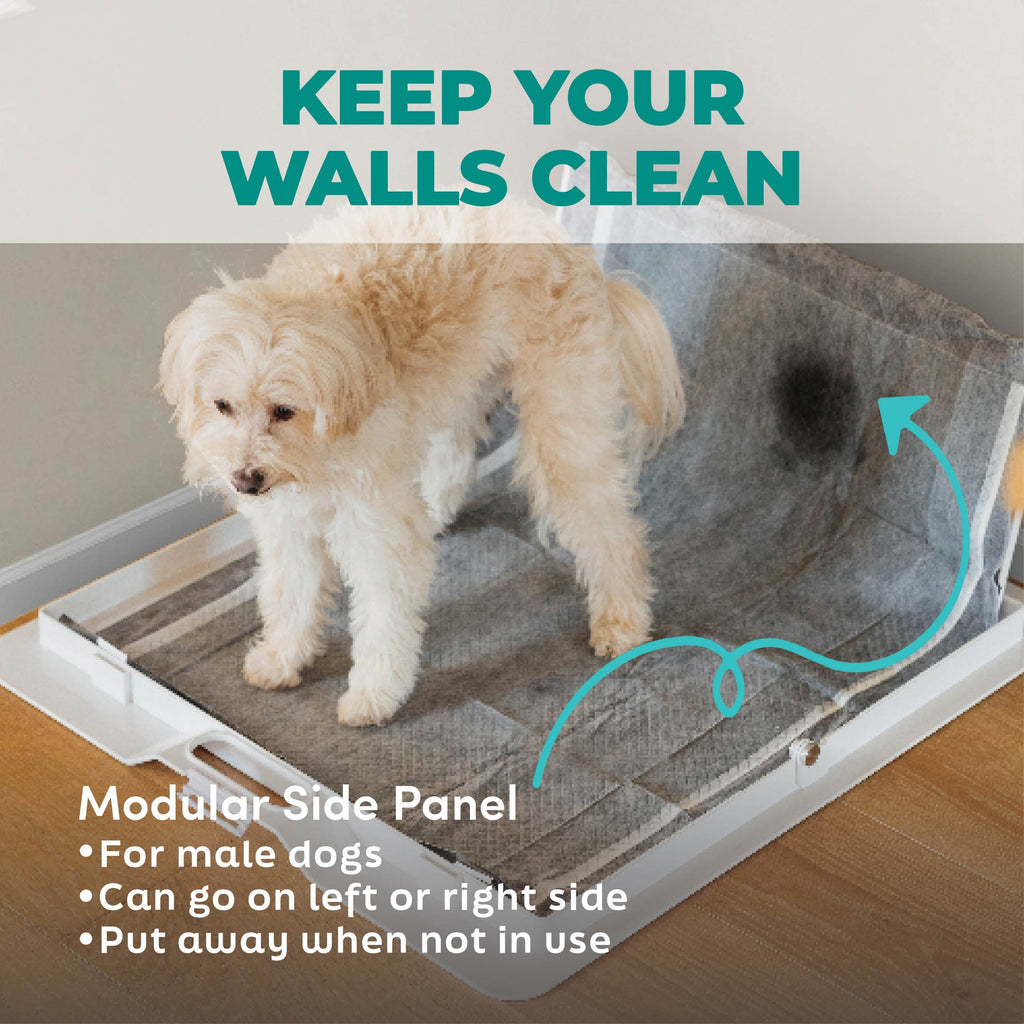 KindTail Pee PAWD® dog pee pad holder for potty training, with a sturdy frame and easy-to-use design for indoor use.