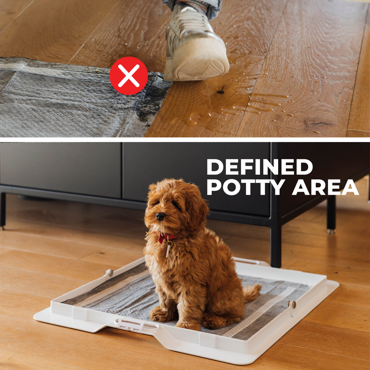 KindTail Pee PAWD® dog pee pad holder for potty training, with a sturdy frame and secure pad placement.