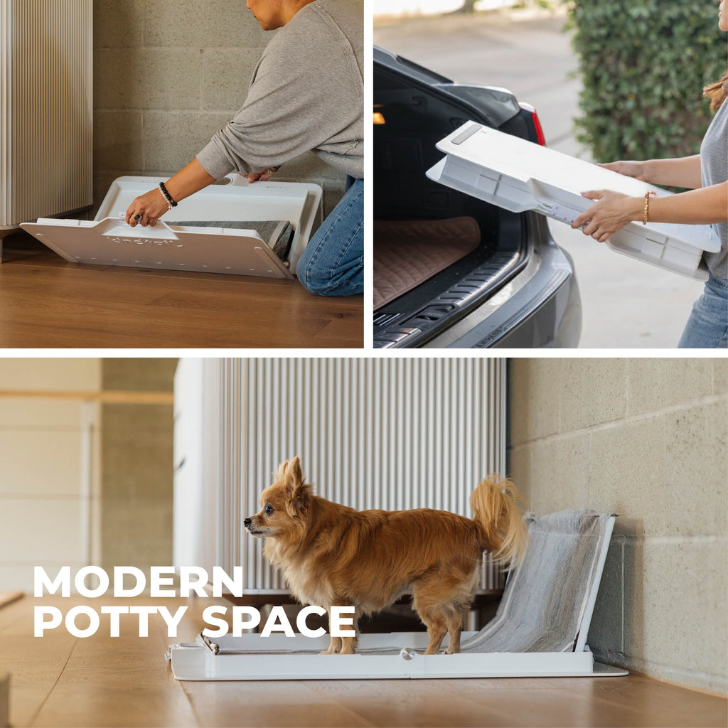 KindTail Pee PAWD® dog potty training pee pad holder on a floor, designed to keep pee pads in place during training.