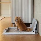 KindTail Pee PAWD® dog potty training pee pad holder with a sturdy frame and absorbent pad for easy indoor training.