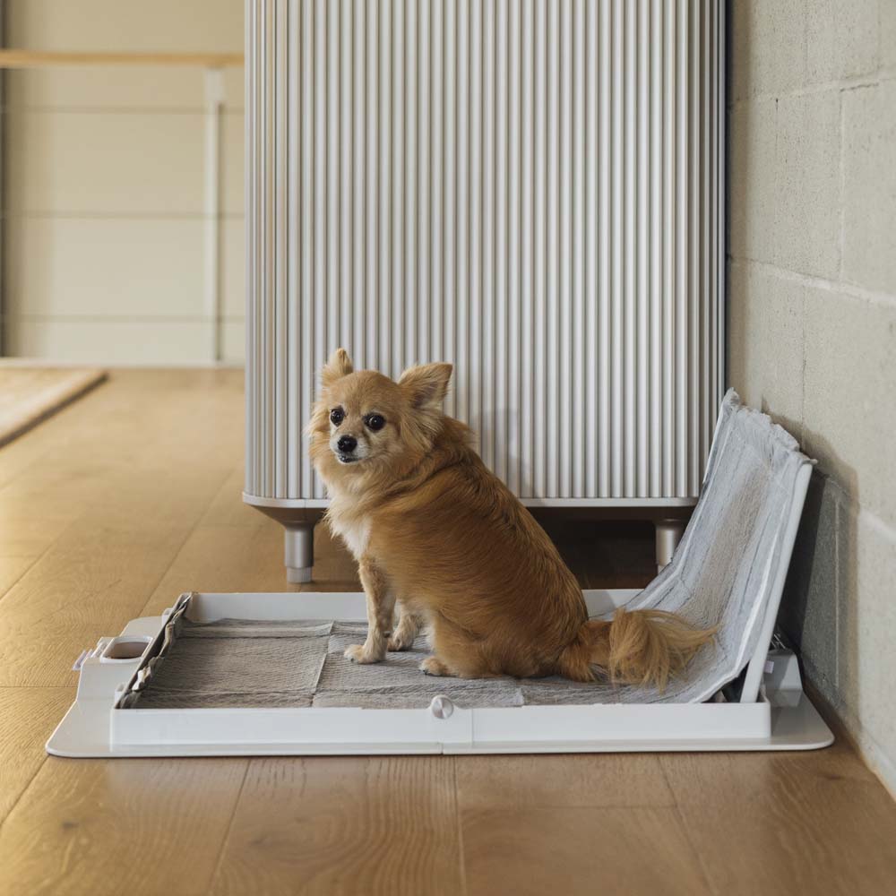 KindTail Pee PAWD® dog potty training pee pad holder with a sturdy frame and absorbent pad for easy indoor training.