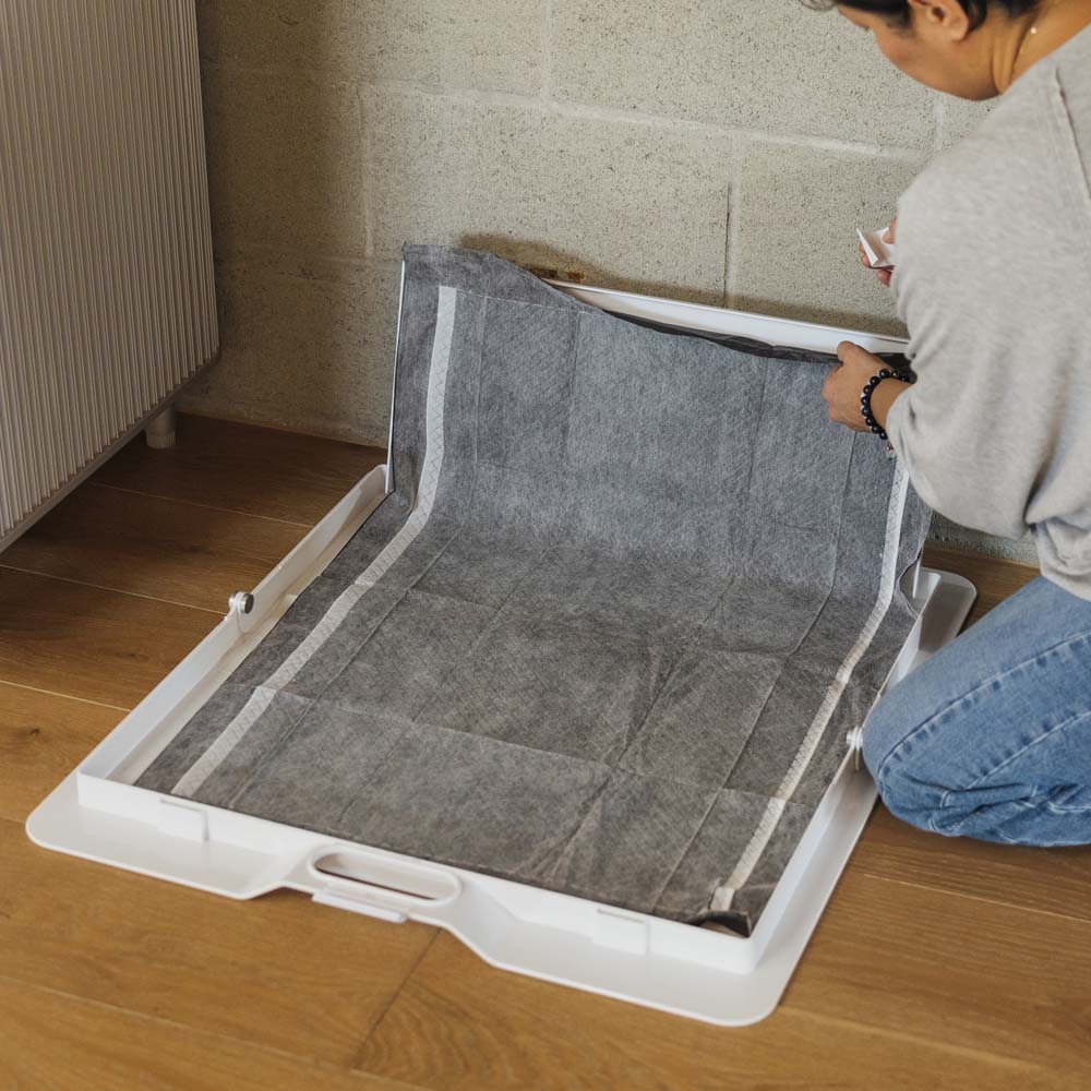 KindTail Pee PAWD® dog potty training pee pad holder on a floor, designed to secure and protect pee pads during training.