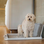 Dog potty training Pee PAWD® Pee Pad holder by KindTail, showing the easy-to-use frame for securing training pads.
