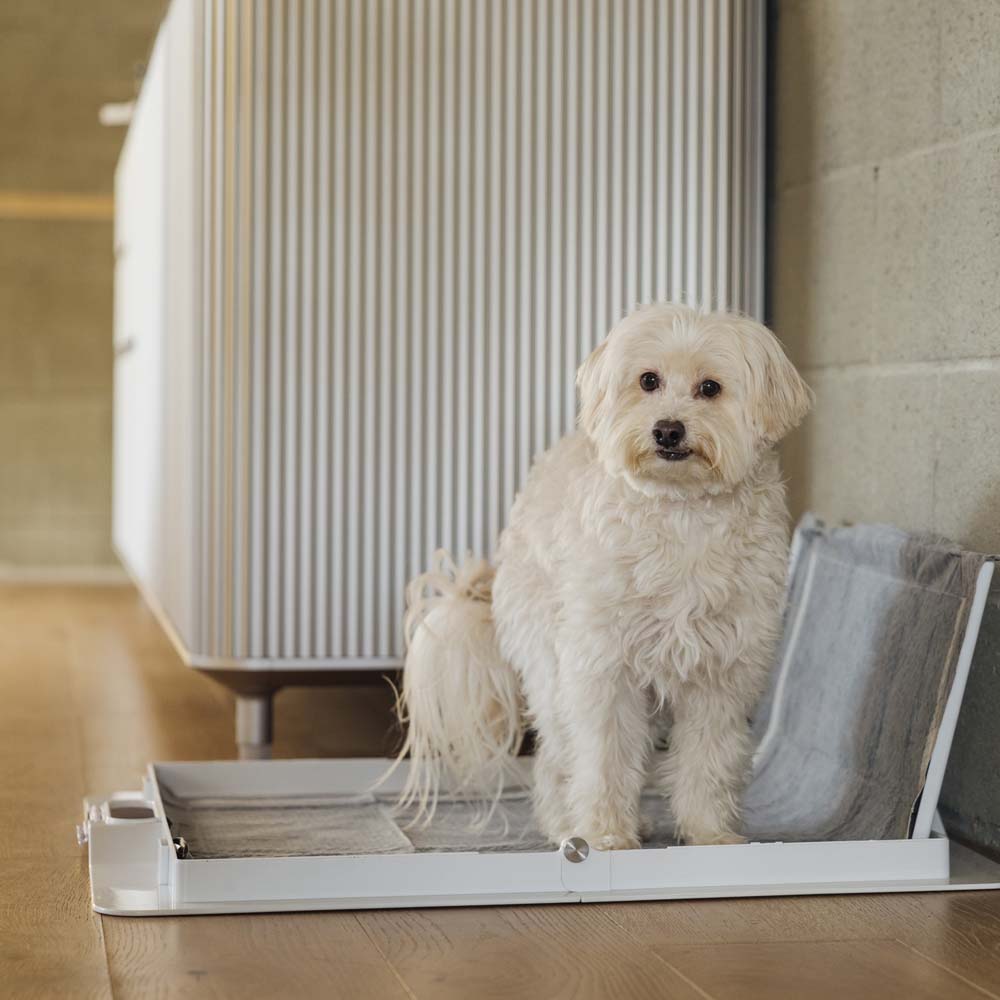 Dog potty training Pee PAWD® Pee Pad holder by KindTail, showing the easy-to-use frame for securing training pads.