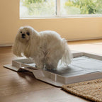 KindTail Pee PAWD® dog potty training pee pad holder on a clean surface with the pad in place.