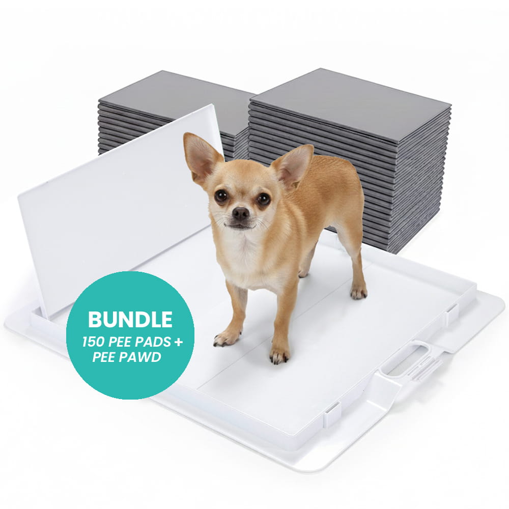 White Pee PAWD® dog pee pad holder for potty training by KindTail, designed to keep pee pads in place efficiently.