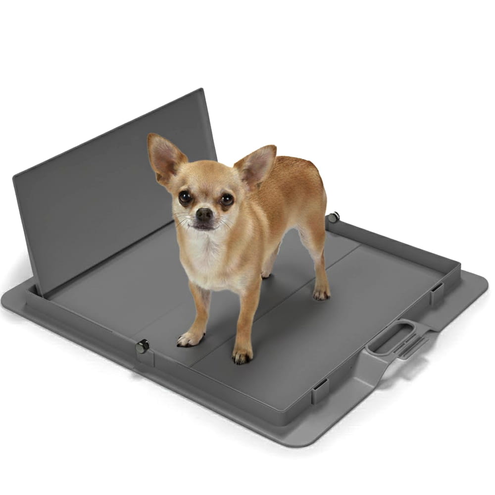 Grey Pee PAWD® dog pee pad holder by KindTail for potty training, with a sturdy frame and easy-to-use design.