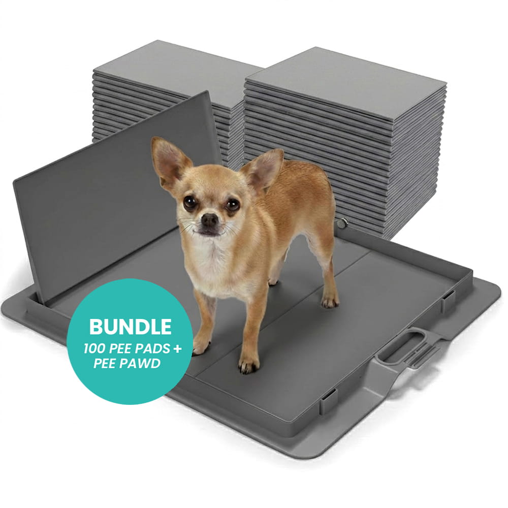 Grey Pee PAWD® dog pee pad holder by KindTail, designed for easy potty training and secure pad placement.