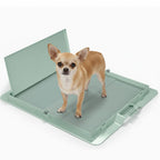 Green Pee PAWD® dog pee pad holder by KindTail for potty training, with a sturdy frame and easy-to-use design.