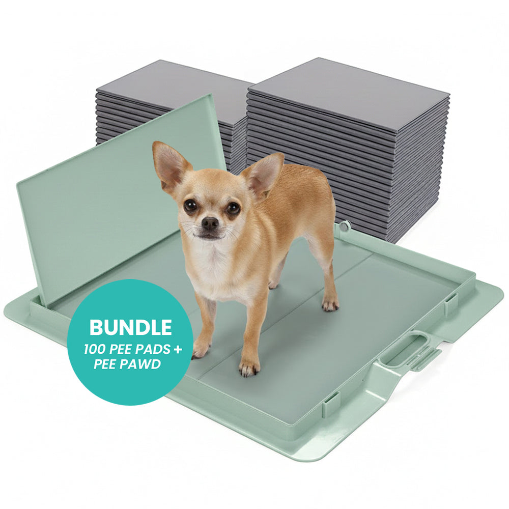 Green Pee PAWD® dog pee pad holder by KindTail for potty training, designed to keep pee pads in place and prevent messes.