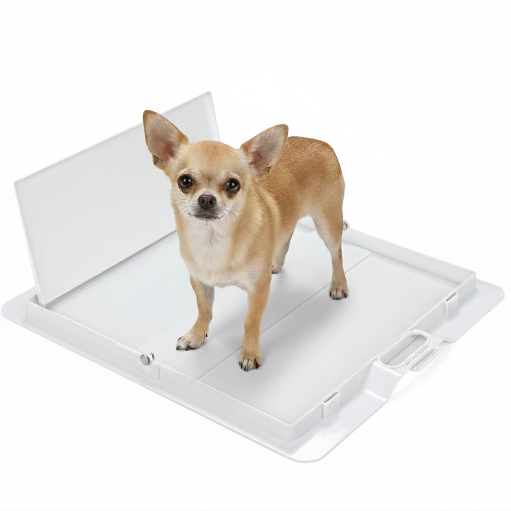 Foldable Dog Training Pad Holder, White / Pee PAWD