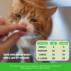 Cat Supplement Bundle product image 6