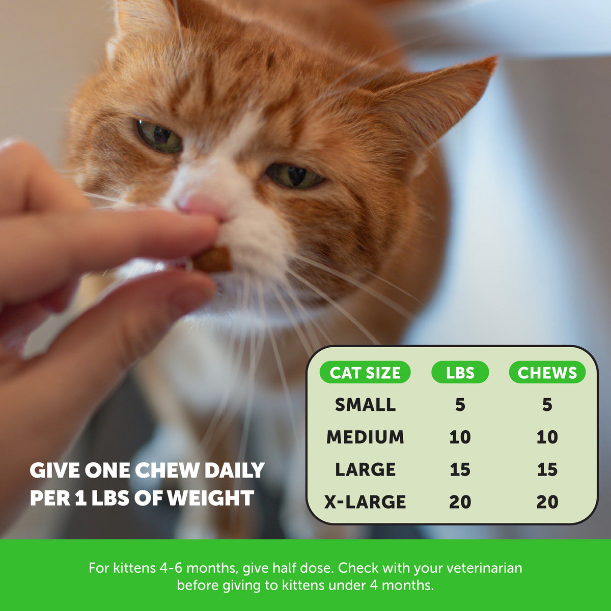 Cat Supplement Bundle product image 6