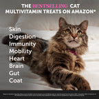 Cat Supplement Bundle product image 10