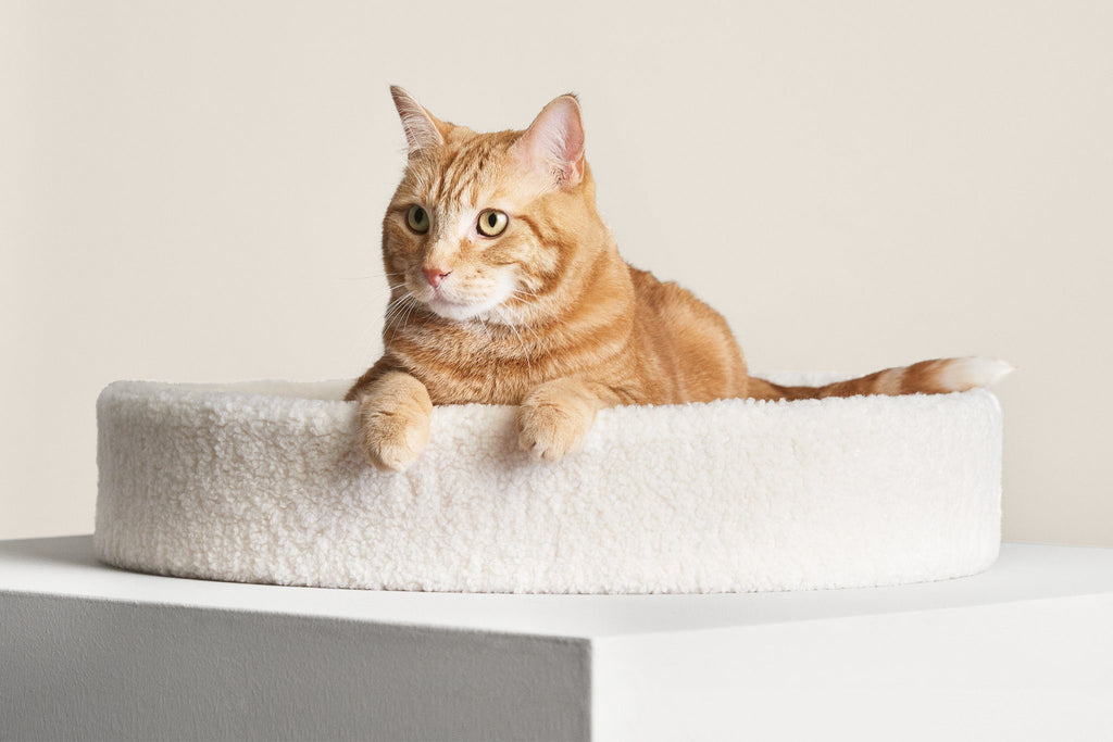 Cat Cushion Bed product image 1