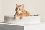 Cat Cushion Bed product image 1