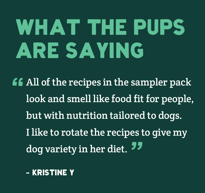 Four bags of dog food with text testimonial on dark teal background.