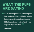 Four bags of dog food with text testimonial on dark teal background.