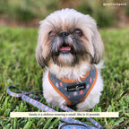 Reversible Harness product image 3