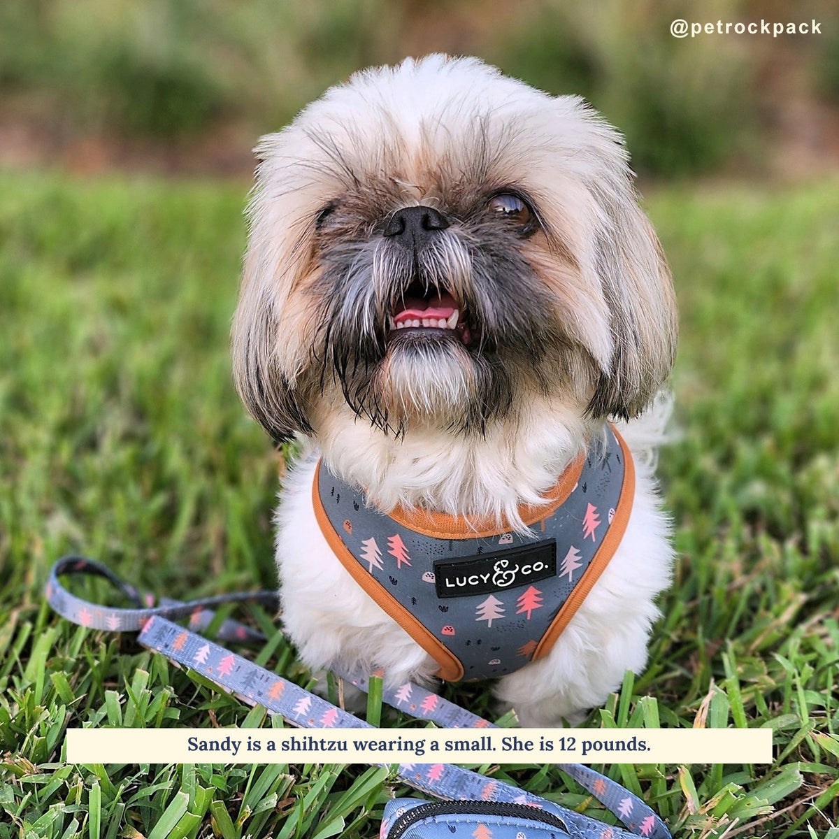 Reversible Harness product image 3