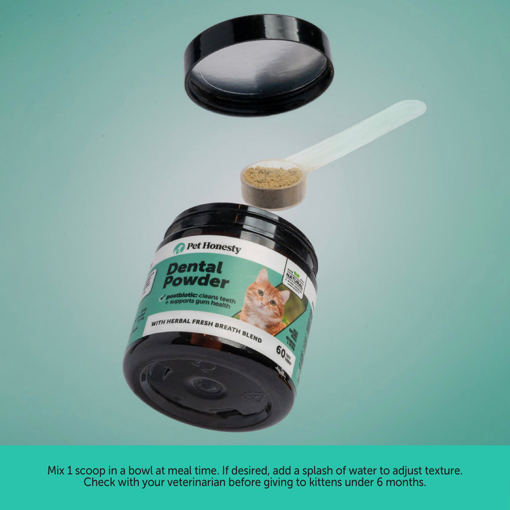 Cat Supplement Bundle product image 4