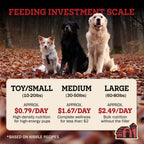 Dry Dog Food product image 8