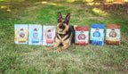 Dry Dog Food product image 10