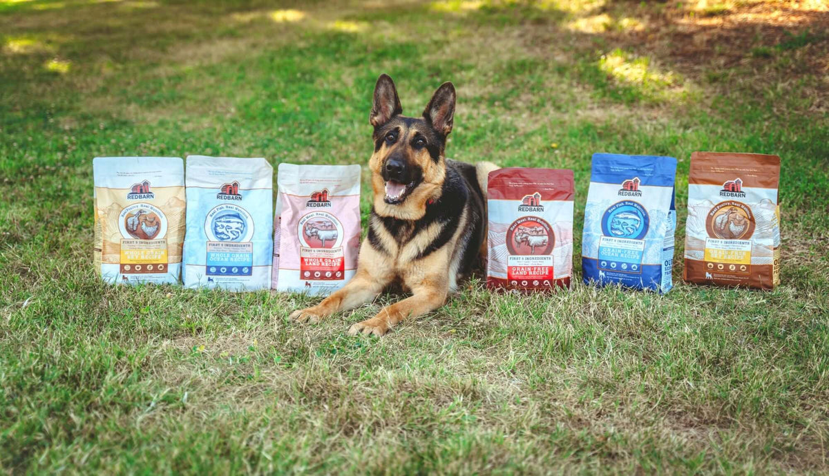 Dry Dog Food product image 10