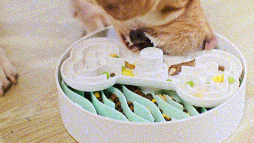 Slow Feeder Dog Bowl product image 7