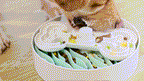 Slow Feeder Dog Bowl product image 7