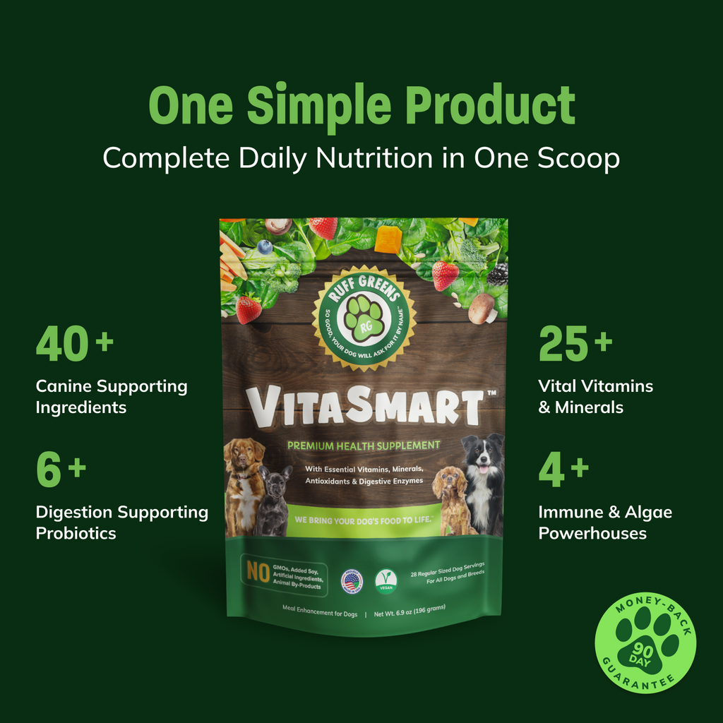 Dog Superfood Vitamin and Probiotic Supplement product image 2